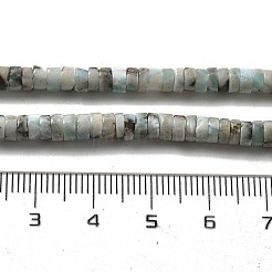 Abalorios naturales larimar hebras&nbsp;G-Q024-B03-01