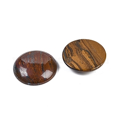 Natürliche Tigereisen-Cabochons&nbsp;G-H1596-FR-25mm-04