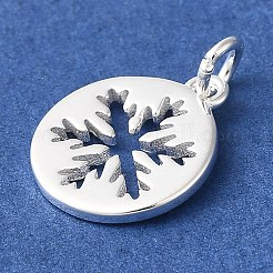 Breloques en 925 argent sterling&nbsp;LS-STER-M120-01E-S