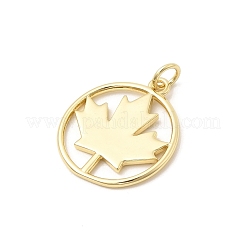 Латунные подвески&nbsp;KK-Z147-13G