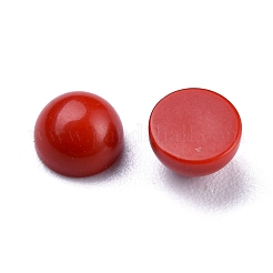 Cabochon di corallo sintetico&nbsp;G-P393-R65-4MM