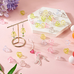 120 capuchon de perles en acrylique transparent de 6 couleurs.&nbsp;TACR-TA0001-75