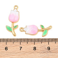 Pendentifs en acier inoxydable 304 émaillés&nbsp;SA-CBADC81-05G-04