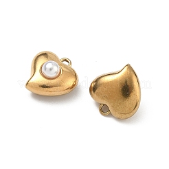 Pendentifs en acier inoxydable 304&nbsp;STAS-F351-02G