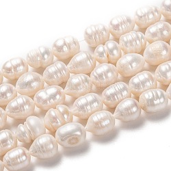 Fili di perle di perle d'acqua dolce coltivate naturali, riso, bisque, 12~17x10~12mm, Foro: 0.8 mm, circa 27pcs/filo, 14.17 pollice (36 cm)
