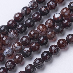 Chapelets de perles d'agate naturelle, teints et chauffée, Grade a, ronde, café, 10mm, Trou: 1.2mm, Environ 38~41 pcs/chapelet, 14.9 pouce (38 cm)