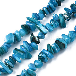 Eau douce naturelle de coquillage perles brins, teinte, puces, bleu profond du ciel, 2~6x4~14x4.5~8.5mm, Trou: 0.7~0.8mm, Environ 258~292 pcs/chapelet, 31.10 pouce ~ 32.05 pouces (79 cm ~ 81.4 cm)