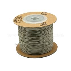 Fili di nylon tinti ecologici, cavi fili stringa, grigio scuro, 0.4mm, circa 164.04 iarde (150 m)/rotolo
