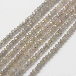 Chapelets de perles en labradorite naturelle, facette, rondelle, 3x2mm, Trou: 0.5mm, Environ 175 pcs/chapelet, 16 pouce