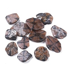Cabochon di chiastolite naturale, cabochon andalusite, croce di pietra, pepite, 25.6~44.5x18~35.5x5~11.5mm