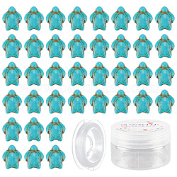 Sunnyclue diy kits de fabricación de pulseras elásticas de cuentas de tortuga, Incluye cuentas de turquesa sintéticas teñidas e hilo elástico de cuentas de 10 m, turquesa, 15x12x6mm, agujero: 1 mm, 100 unidades / caja