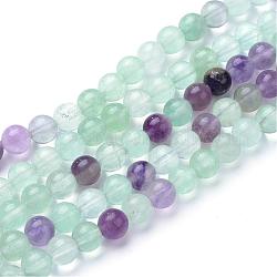 Chapelets de perles en fluorite naturel, ronde, colorées, 8~8.5mm, Trou: 1mm, Environ 47 pcs/chapelet, 15.5 pouce