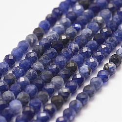 Chapelets de perles en sodalite naturel, facette, ronde, 3mm, Trou: 0.5mm, Environ 127 pcs/chapelet, 15.2 pouce