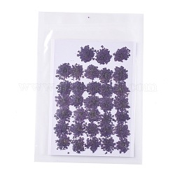 Gepresste Trockenblumen, für Handy, Fotorahmen, Scrapbooking DIY Handarbeit, lila, 15~20x13~19 mm, 100 Stück / Beutel