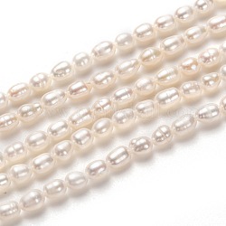 Brins de perles de culture d'eau douce naturelles, riz, blanc, 5~6x4mm, Trou: 0.6mm, Environ 60 pcs/chapelet, 13.78 pouce (35 cm)