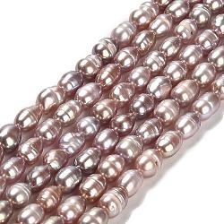 Brins de perles de culture d'eau douce naturelles, riz, Note 2 un, brun rosé, 5~6x3~4.5mm, Trou: 0.7mm, Environ 62~65 pcs/chapelet, 14.17 pouce (36 cm)