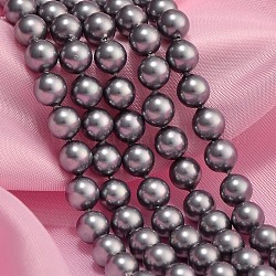 Shell Pearl Beads Strands, Grade A, Polished, Gray, Round, about 6mm in diameter, hole: 0.5mm, about 61pcs/strand