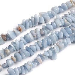 Brins de perles de chips angélite naturelles, perles d'anhydrite, 2.5~6x4.5~10.5mm, Trou: 0.8~1mm, environ 33.86 pouce (86 cm)