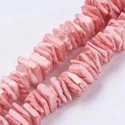 Natürlichen Muschel Perlen Stränge, gefärbt, quadratischer Chip, rosa, 1~3.5x4.5~10x4.5~10 mm, Bohrung: 0.5 mm, 16.1 Zoll ~ 16.9 Zoll