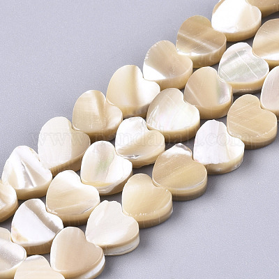 Perle trochid naturali / conchiglie trochus&nbsp;SSHEL-R049-01-1