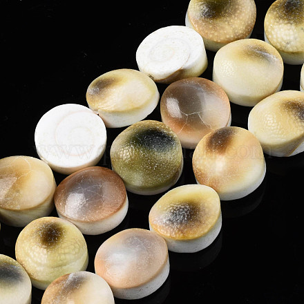 Brins de perles de coquille de trompette naturelle SSHEL-N034-113-1