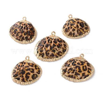 Подвески из натуральной морской раковины SSHEL-B002-02G-01-1