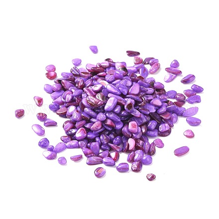 シェルビーズ  穴がないビーズ  染め  チップ  紫色のメディア  4.5~9.5x3~6x1.5~3.5mm SHEL-XCP0001-02-1