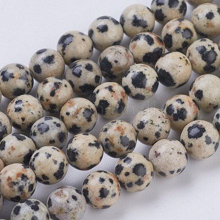 Chapelets de perles en jaspe de dalmation naturelle G-G515-6mm-06-1