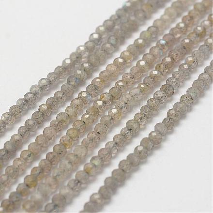 Chapelets de perles en labradorite naturelle G-P243-09-1