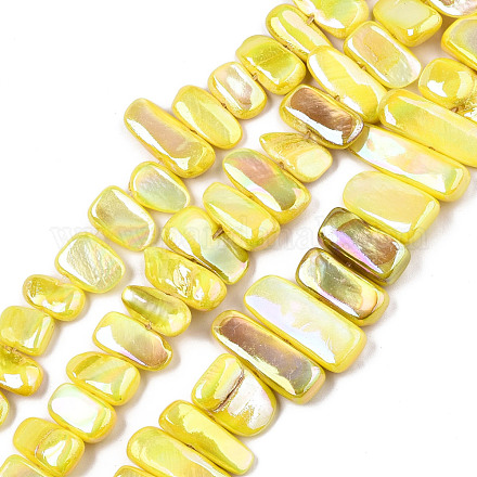 Eau douce naturelle de coquillage perles brins SHEL-N026-123A-1