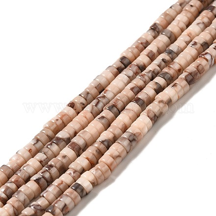 Natural Fossil Beads Strands G-I339-05-1