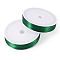 2 Rolls Baking Painted Iron Wire, Round, Green, 0.5mm, 24 Gauge, about 262.47 Feet(80m)/Roll