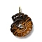 Natural Tiger Eye Pendants, Conch Charms with Rack Plating Golden Tone Brass Micro Pave Cubic Zirconia Findings, 32~32.5x22.5~23x9~10mm, Hole: 4mm