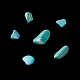 Natural Magnesite Chip Beads G-M364-09B-2