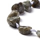 Natural Labradorite Beads Strands G-B024-12-3