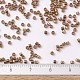 Perles miyuki delica X-SEED-J020-DB0115-4