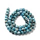 Natural Apatite Beads Strands G-G858-01A-3