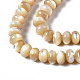 Fili di perle di conchiglia trochid naturale / trochus SSHEL-S266-017B-3