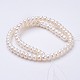 Natural Cultured Freshwater Pearl Beads Strands PEAR-P002-34-01-2