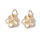 Rack Plating Alloy Charms FIND-G036-02LG-1