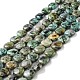 Natural African Turquoise(Jasper) Beads Strands G-P460-07-1