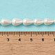 Chapelets de perles en coquille électrolytique BSHE-G010-6x9mm-01A-5