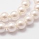 Cuentas perlas de concha de perla X-BSHE-L026-03-6mm-5
