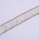 Trucioli di pietre preziose ferro su accessori per cucire a catena in metallo applique DIY-WH0204-89B-3