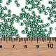 8/0 Czech Opaque Glass Seed Beads SEED-N004-003A-13-6