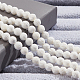 Benecreat 100pcs brins de perles de coquillage naturel BSHE-BC0001-06-3