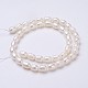 Grade AA Natural Cultured Freshwater Pearl Beads Strands PEAR-P002-41-2