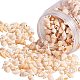 Chgcraft über 129g Muschelperlen Kaurimuschel Perlen natürliche Muschelperlenanhänger für die Schmuckherstellung SSHEL-PH0002-09-2