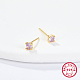 Golden Sterling Silver Micro Pave Cubic Zirconia Stud Earring XN7792-2-1