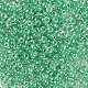 8/0 Glass Seed Beads X-SEED-A015-3mm-2218-2